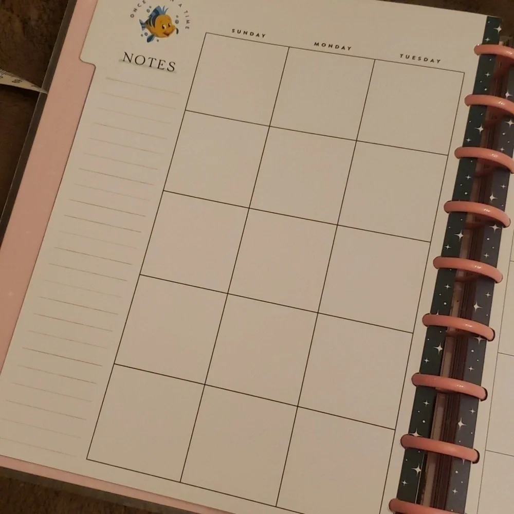 Disney Princess undated planner. New